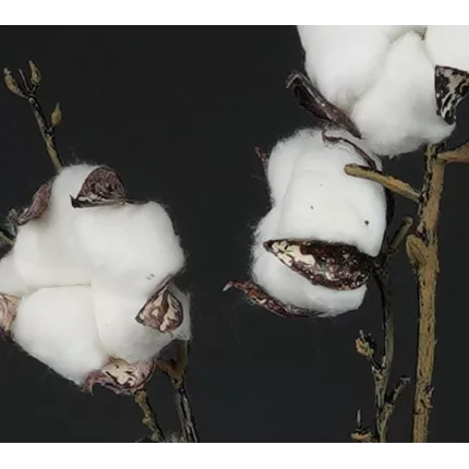 détails Fleurs de coton artificielle 96 cm