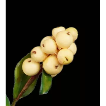 baies Branche de SYMPHORINE artificielle 58 cm