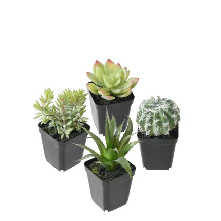 Succulente artificiel EN POT 16 cm par 4