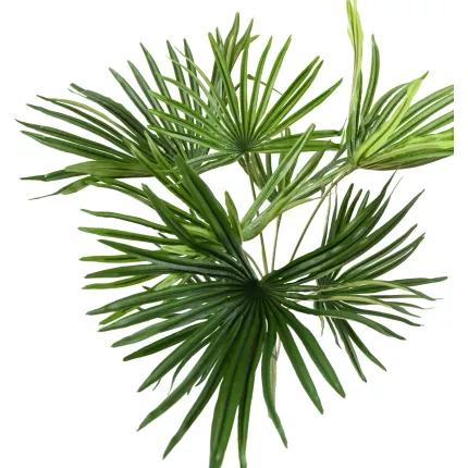 PALMIER artificiel BABY  47 cm vu de dessus