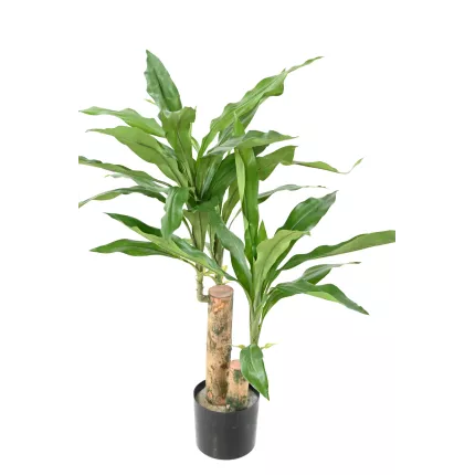 DRACENA artificiel (ou DRACAENA) stud 60 cm