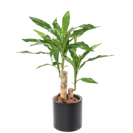 DRACENA artificiel (ou DRACAENA) stud 60 cm en pot noir