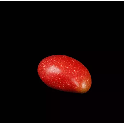 MANGUE artificielle 13 cm sur fond noir