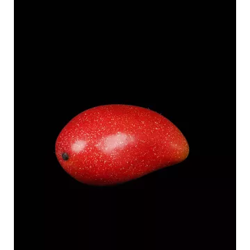 MANGUE artificielle 13 cm de profil