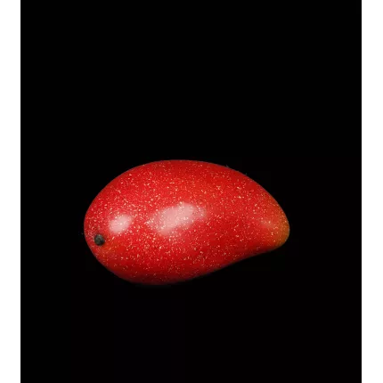 MANGUE artificielle 13 cm de profil