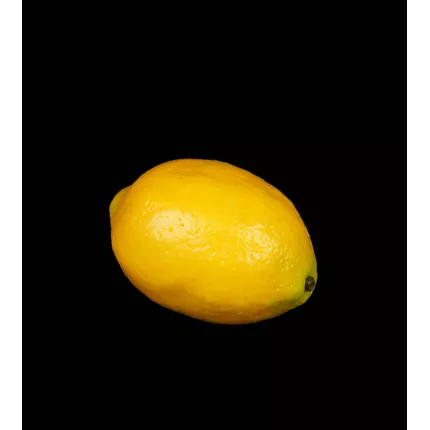 CITRON artificiel 9.5 cm