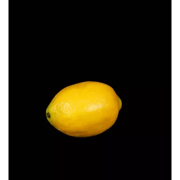 CITRON artificiel 9.5 cm