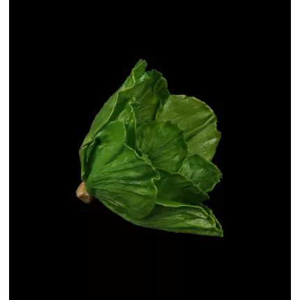 CHOU artificiel  16 cm de face