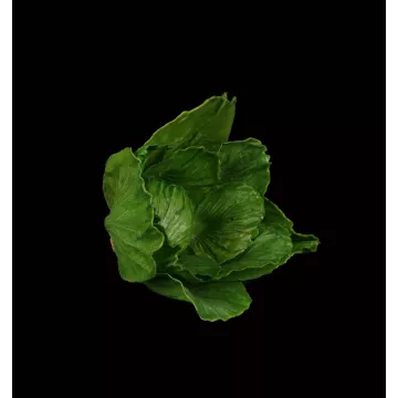 CHOU artificiel  16 cm de  coté
