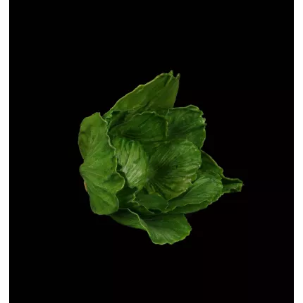 CHOU artificiel  16 cm de  coté