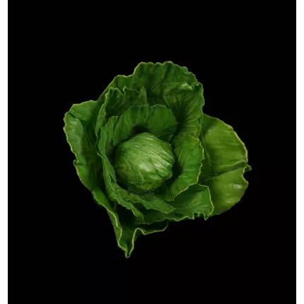 CHOU artificiel  16 cm vu de dessous