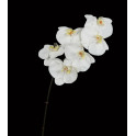 Orchidée PHALAENOPSIS artificielle blanche 78 cm