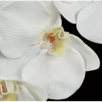 Orchidée PHALAENOPSIS artificielle blanche 78 cm
