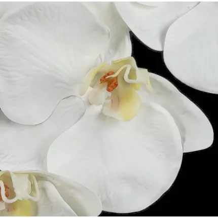 Orchidée PHALAENOPSIS artificielle blanche 78 cm