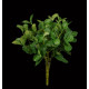 plant MELISSE artifcielle 25 cm