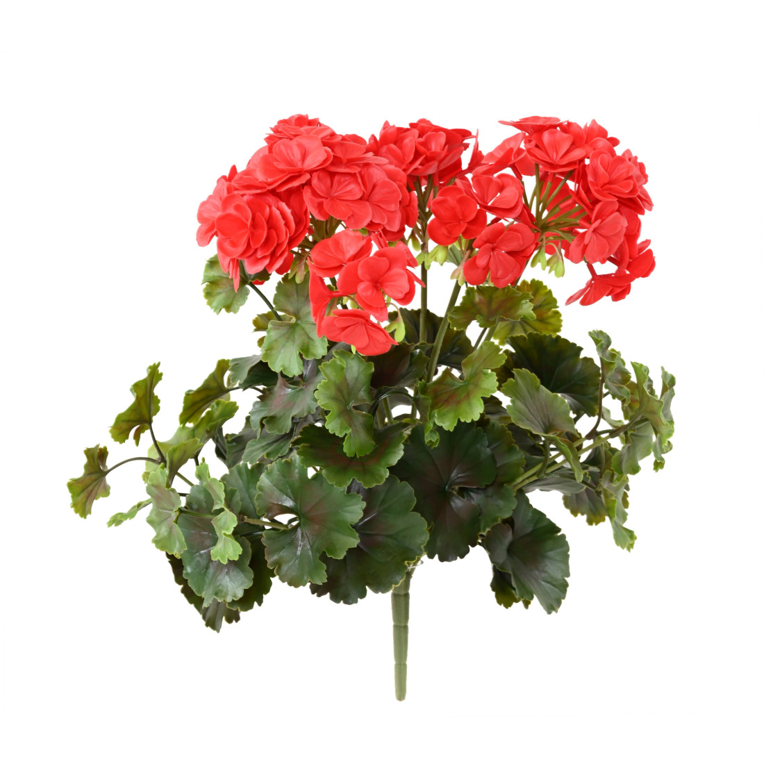 https://www.reflets-nature.com/13633-thickbox_default/piquet-geranium-plastique-35-cm.jpg
