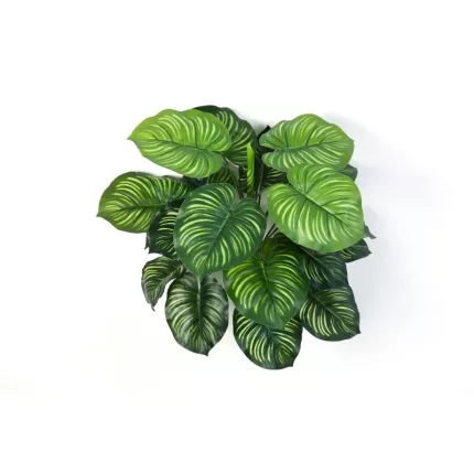 CALATHEA artificiel 40 cm