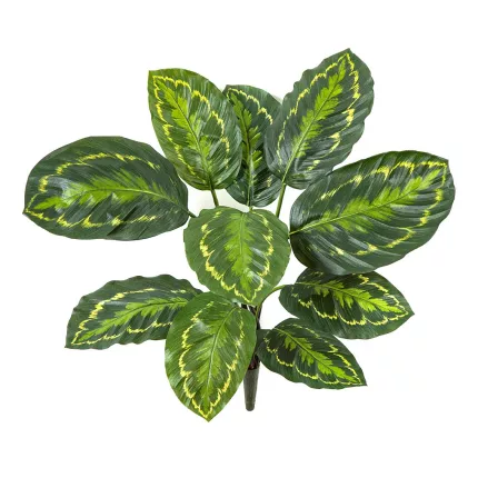 CALATHEA ROSEOPICTA artificiel 53 cm
