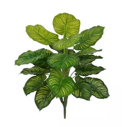 CALATHEA panaché artificiel 40 cm