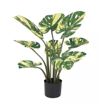 PHILODENDRON MONTSERA DELICIOSA artificiel 70 cm vert jaune