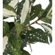 plante CORDYLINE artificielle 40 cm