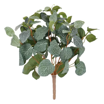plante FITTONIA artificiel 40 cm