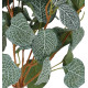 plante FITTONIA artificiel 40 cm