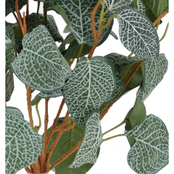 feuilles plante FITTONIA artificiel 40 cm