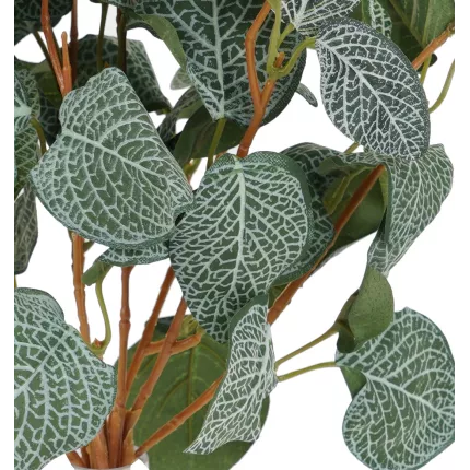 feuilles plante FITTONIA artificiel 40 cm