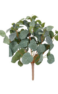 plante FITTONIA artificiel 40 cm