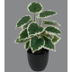 Mini plante artificielle 30 à 35 cm