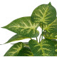 Mini plante artificielle 30 à 35 cm
