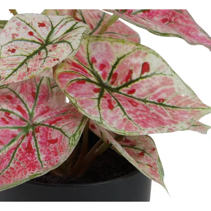 CALADIUM artificiel coloré 20 cm en pot