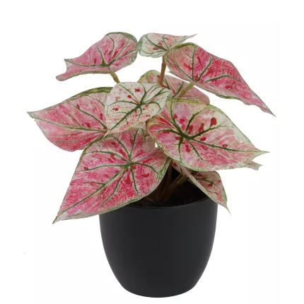 CALADIUM artificiel coloré 20 cm en pot