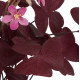 TREFLE OXALIS artificiel fleuri en pot 36 cm