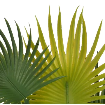 feuilles PALMIER artificiel éventail baby 35 cm en pot