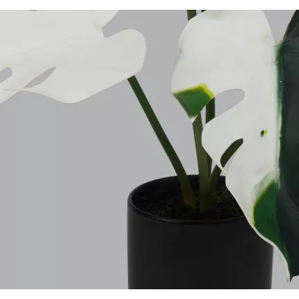 PHILODENDRON MONTSERA DELICIOSA ALBINOS artificiel 42 cm