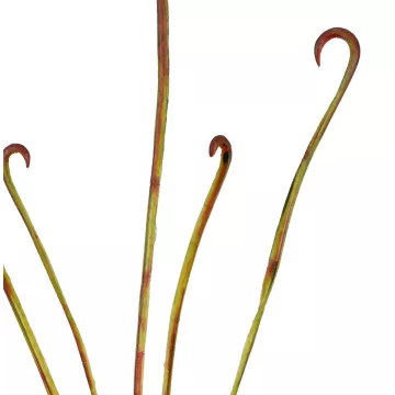 feuillage Branche artificielle carnivore 107 cm