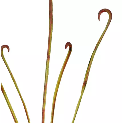 feuillage Branche artificielle carnivore 107 cm