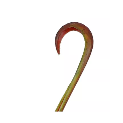 pointe d'une Branche artificielle carnivore 107 cm