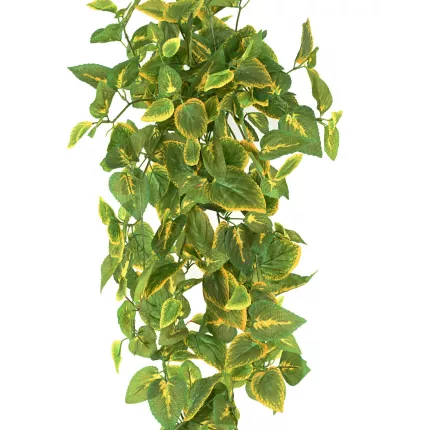 feuilles COLEUS artificiel 70 cm vert