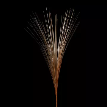 Herbe Isolepis dorée 70 cm