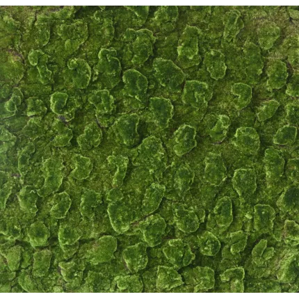 Plaque de mousse artificielle 100cm x 100cm