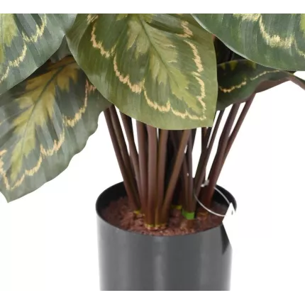 base et tiges CALATHEA ROSEOPICTA artificiel 70 cm