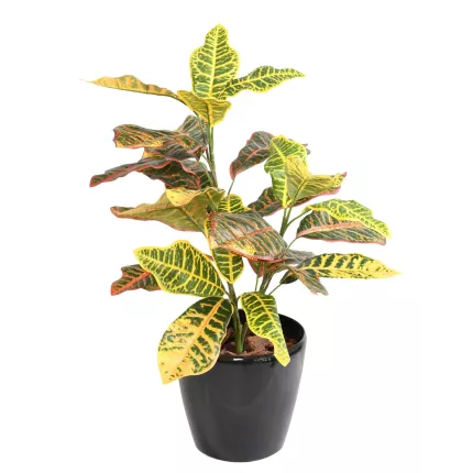 CROTON artificiel 70 cm