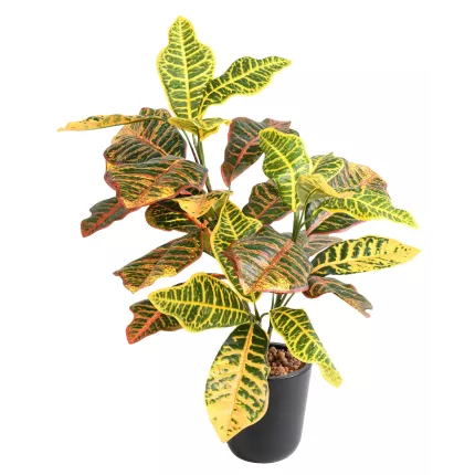 CROTON artificiel 70 cm
