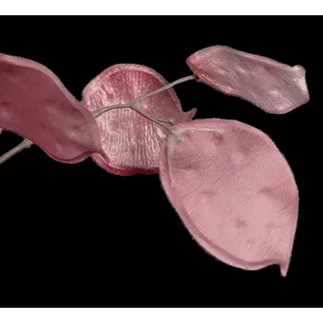 feuilles BRANCHE MONNAIE DU PAPE artificielle velours 105 cm
