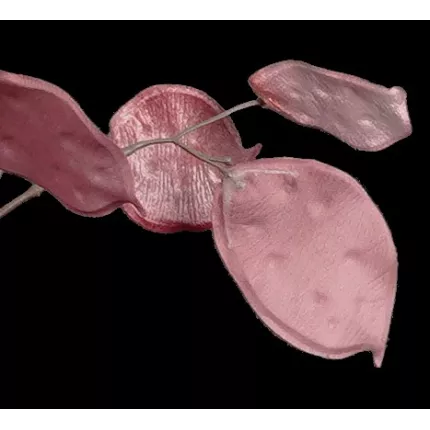 feuilles BRANCHE MONNAIE DU PAPE artificielle velours 105 cm