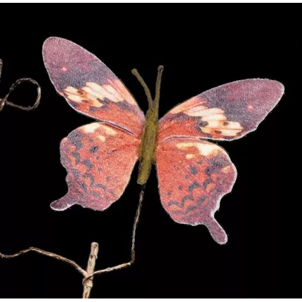 papillon en détail de la branche de PAPILLONS 75 cm