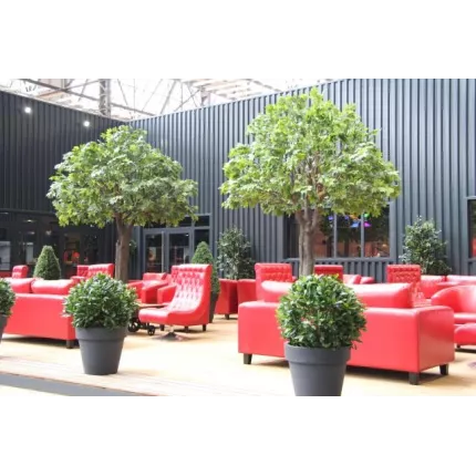 PLATANE géant artificiel 340 à 600 cm en situation avec des lauriers boule